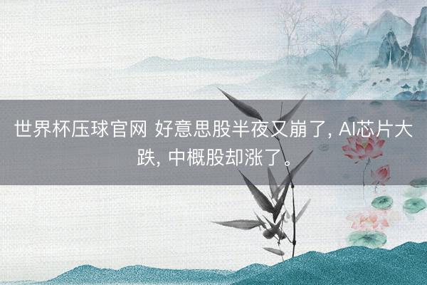 世界杯压球官网 好意思股半夜又崩了， AI芯片大跌， 中概股却涨了。