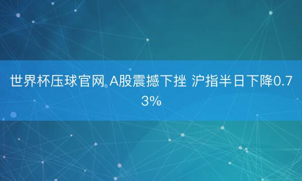世界杯压球官网 A股震撼下挫 沪指半日下降0.73%