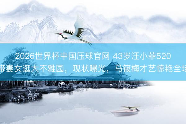 2026世界杯中国压球官网 43岁汪小菲520带妻女逛大不雅园，现状曝光，马筱梅才艺惊艳全场