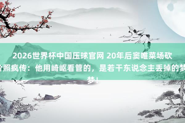 2026世界杯中国压球官网 20年后窦唯菜场砍价照疯传：他用崎岖看管的，是若干东说念主丢掉的梦！