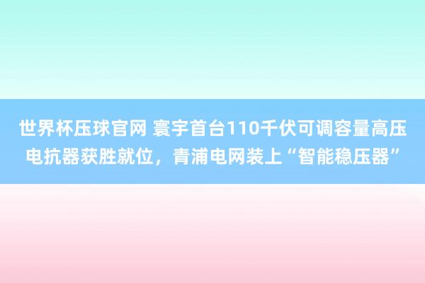 世界杯压球官网 寰宇首台110千伏可调容量高压电抗器获胜就位，青浦电网装上“智能稳压器”